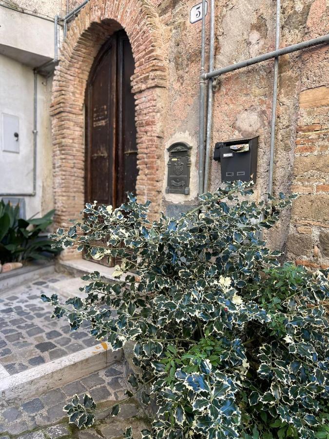 Via Camerina 3 Castelnuovo Di Porto Dış mekan fotoğraf